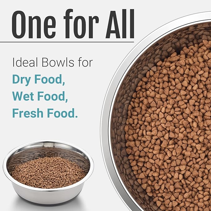 PEGYY11 Nonslip Stainless Steel Dog Cat Bowls, 2 US Cup, 2 Count