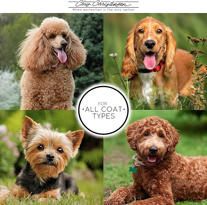 Chris Christensen Day to Day Ultra Concentrated Dog Conditioner, Makes up to 8 Bottles, Groom Like a Professional, Moisturizing, All Coat Types, for Daily Use, Made in USA, 1gal