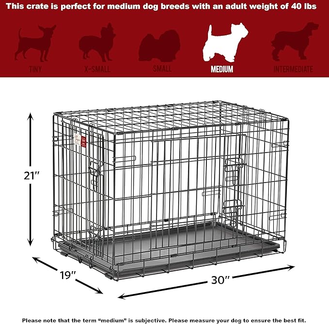 MidWest Homes for Pets Medium Dog Crate | Midwest Life Stages 30' Double Door Folding Metal Dog Breed Crate | Divider Panel,Floor Protecting Feet & Dog Pan | 30.6L x 19.3W x 21.4H Inches