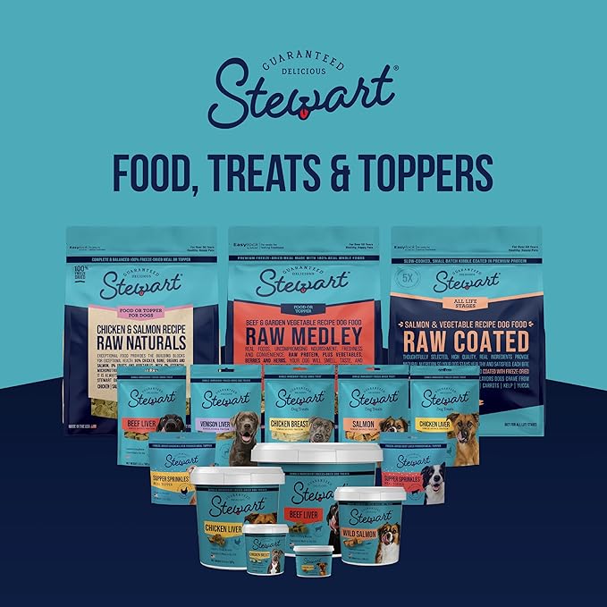 Stewart Single Ingredient Freeze Dried Raw Dog Treats, Wild Salmon, 2.75 Ounce, Approx. 55 Pieces per Resealable Tub, Training Treats or Meal Topper, High Protein, Grain Free, Gluten Free