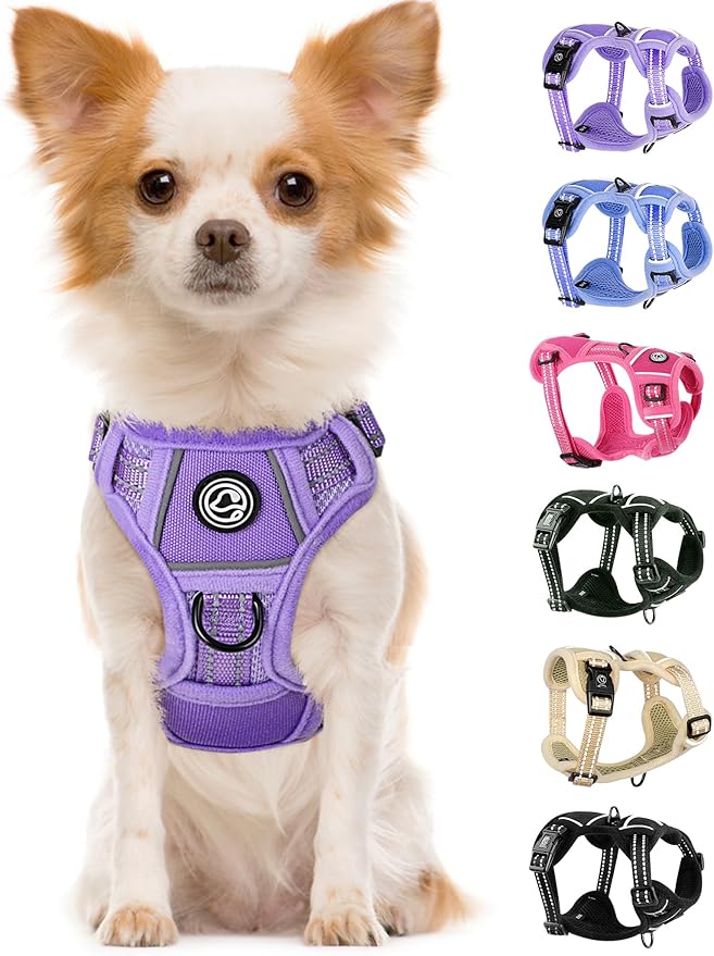 Dog Harness Small Sized Dog, No Pull Pet Harness with 2 Leash Clips, Adjustable Soft Padded Dog Vest Harnesses, Reflective No-Choke Pet Oxford Vest