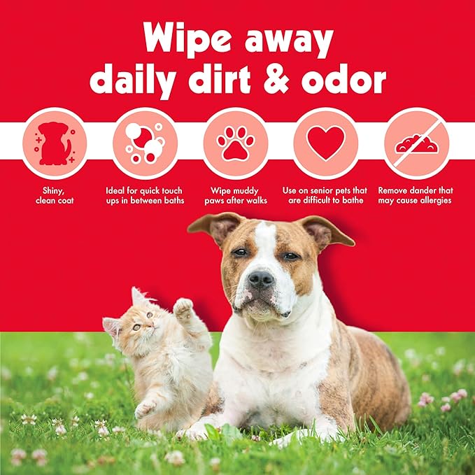 Petkin Mega PetWipes, 200 Wipes - Grooming Pet Wipes for Dogs and Cats - for Face, Paws, Ears, Body and Eye Area - Super Convenient Dog Cleaning Wipes, Ideal for Home or Travel - Easy to Use