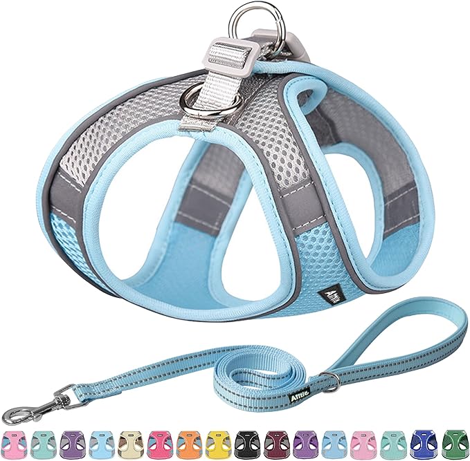 AIITLE Dog Harness, Spring No-Pull Cat Harness with a Leash, Adjustable Reflective Dog Vest, Cat Harness Escape Proof, Outdoor Walking, Camping for Extra Small Dogs and House Cats Blue XXXS