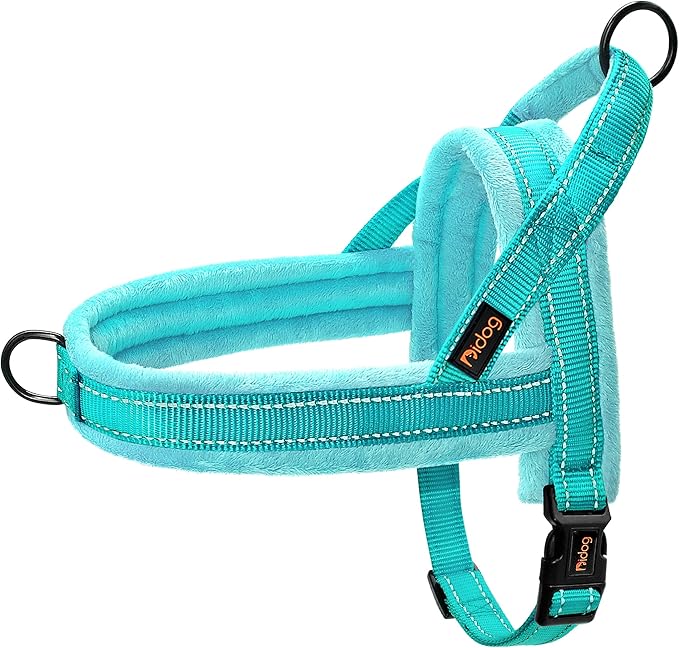 Didog Soft Flannel Padded Dog Vest Harness,Escape Proof/Quick Fit Reflective Dog Strap Harness, Easy for Training Walking(S:Chest 18-22", Teal)