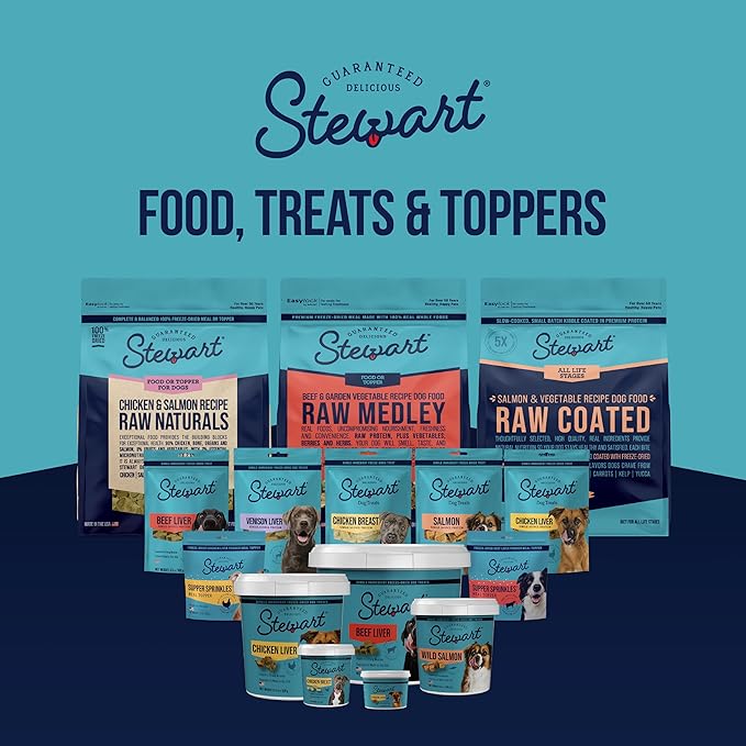 Stewart Single Ingredient Freeze Dried Raw Dog Treats, Wild Salmon, 9.5 Ounce, Approx. 190 Pieces per Resealable Tub, Training Treats or Meal Topper, High Protein, Grain Free, Gluten Free