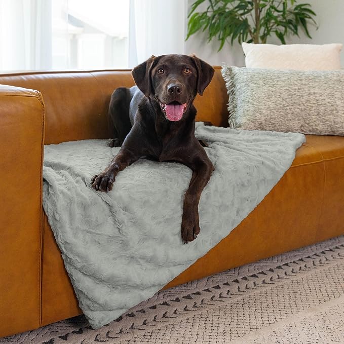 Best Friends by Sheri Calming Lux Dog Blanket, Gray, 40" x 50"