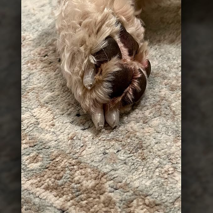 Mag's Paw Grips - Toe Grips for Senior Dogs - Anti-Slip Traction on Hardwood Floors - Nail Wraps for Large Dogs (Over 100lbs)