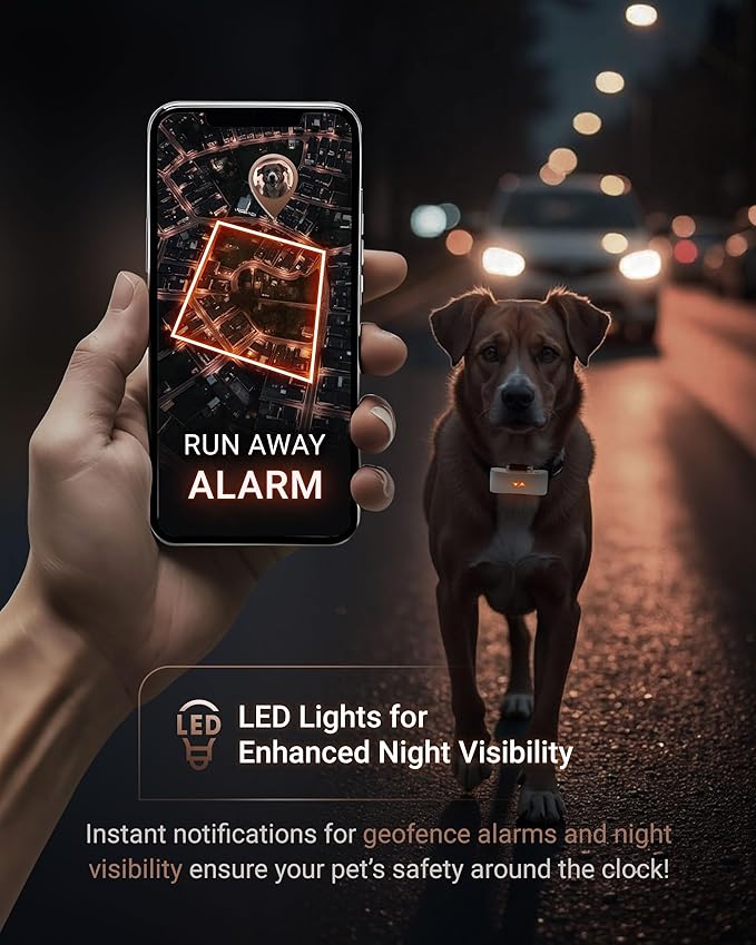 PAJ GPS Tracker for Dogs - 4G GPS Collar Tag with Real-Time Location Tracking & Runaway Alert - Waterproof & Up to 10 Days Battery Life - Fits Any Collar w/Glowing LEDs - Subscription Required - Grey