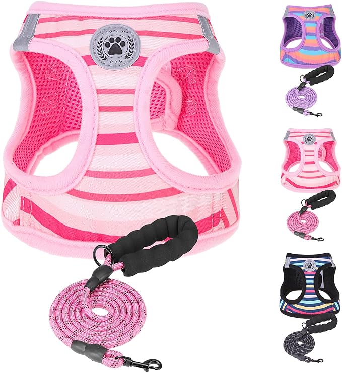 BEAUTYZOO Dog Harness and Leash Set for Small Dogs,No Pull Step-in Harness for Puppy XS S Sized Dogs and Cats,Air Mesh Adjustable Breathable Soft No Chock Escape Proof Vest Harnesses,Striped Pink XXS