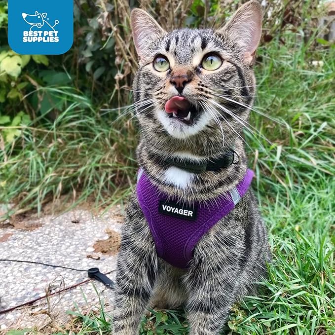 Voyager Step-in Air Dog Harness - All Weather Mesh, Reflective, No Pull Harness for Small, Medium Dogs, Cats - Secure with Hook & Loop Fastener, Buckle, Double D-Rings - Purple, XXS