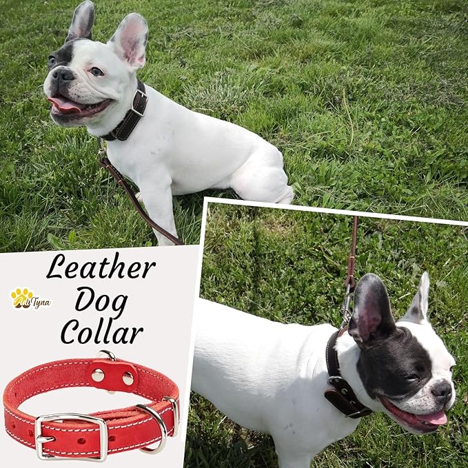 Heavy Duty Red Leather Dog Collar for Small Dogs- Soft and Strong Dog Collar for Puppy or Small Dogs (Small: Fit 10" - 14.5" Neck, Red)