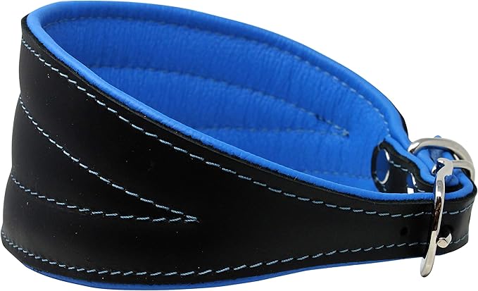 Real Leather Extra Wide Padded Tapered Dog Collar Glossy Black Greyhound Saluki Deerhound Lurcher Whippet Dachshund (13.25"-15.25" Neck; 2.5" Wide, Blue)