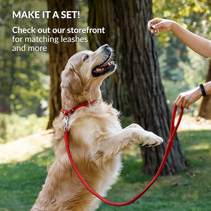 CollarDirect Rolled Leather Dog Collar, Soft Padded Round Puppy Collar, Handmade Genuine Leather Collar Dog Small Large Cat Collars 13 Colors (18-22 Inch, Red Smooth)