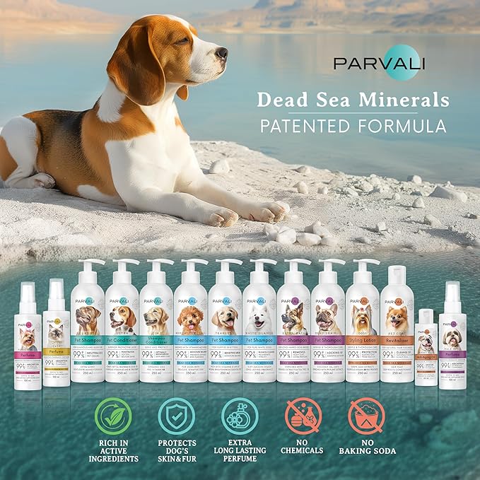 Natural Dead Sea Classic Dog Conditioner (250 ml, 8.45 fl oz). Softens and Penetrates Hair, All Breeds Anti-Dryness Protection. Fortified with Honey, Nettle, Beeswax, and Olive Oil. Enjoy!