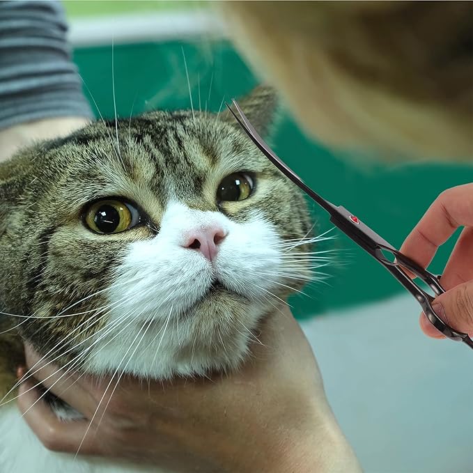 Dog Grooming Scissors, with Ergonomic Handle, Pill Popper for Cats, Upper Bend Shears, Stainless Steel Curved Shears for Dogs Cats, Black, 7.5inch