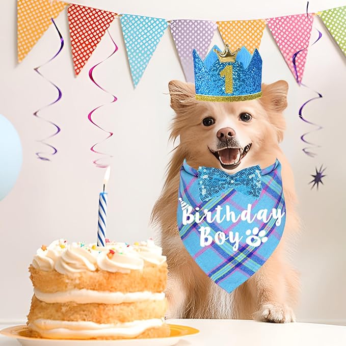 Dog Birthday Party Supplies, Multi Sizes Dog Birthday Hat Crown with Numbers Bandana Boy Bow Tie for Small Dogs Pets (Light Blue, Small)
