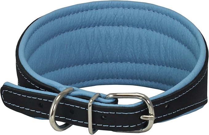 Real Leather Extra Wide Padded Tapered Dog Collar Glossy Black Greyhound Saluki Deerhound Lurcher Whippet Dachshund (16.75"-20" Neck; 3" Wide, Baby-Blue)