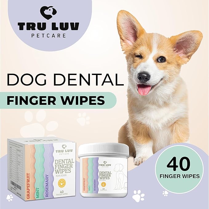 40 Dog Teeth Wipes - Dog Teeth Cleaning Products - Dog Dental Wipes - Teeth Cleaner for Dogs - Dog Tooth Cleaner - Dental Care for Dogs - Dog Tooth Brushing Kit - Dog Teeth Cleaning Kit - Dog Wipes