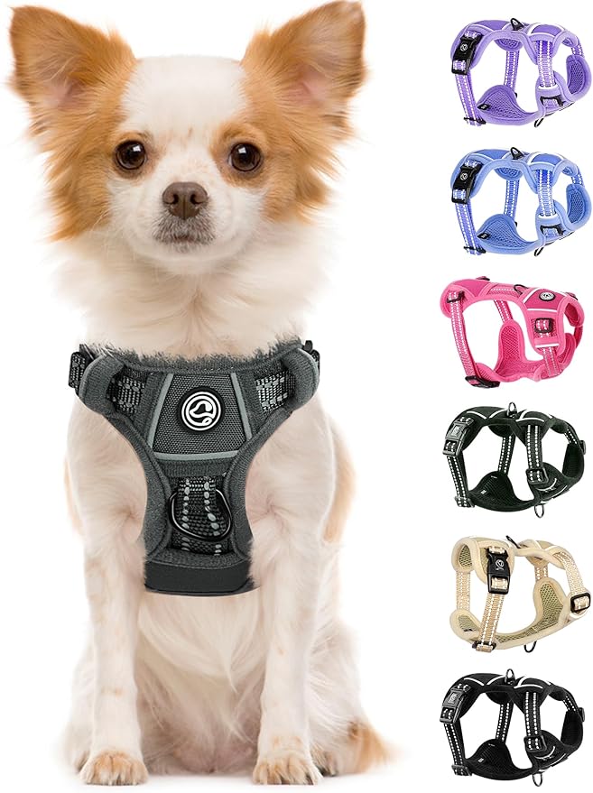 Dog Harness Small Sized Dog, No Pull Pet Harness with 2 Leash Clips, Adjustable Soft Padded Dog Vest Harnesses, Reflective No-Choke Pet Oxford Vest