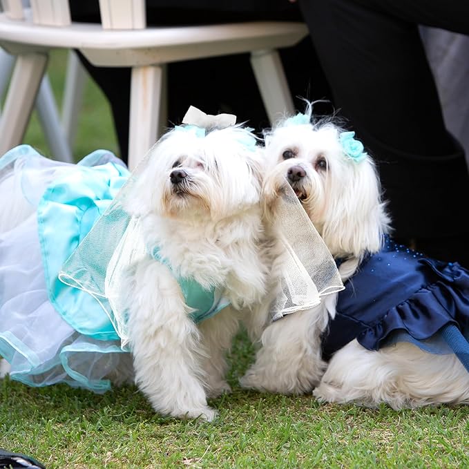 Dog Bow Veil, Pet Wedding Veil with Clip White Dog Wedding Veil Dres Handmade Dog Bride Headwear Costume Small Dog Wedding Outfit Hair Accessories for Birthday Wedding Party Decorations