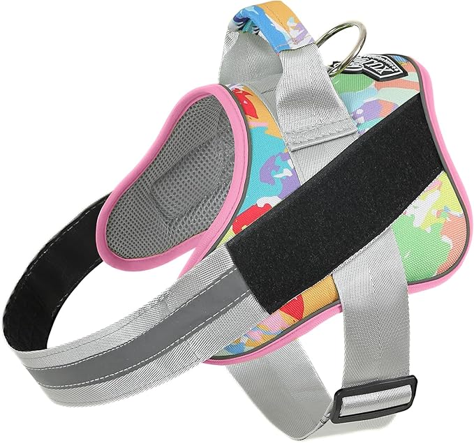 Bolux Dog Harness, No-Pull Reflective Dog Vest, Breathable Adjustable Pet Harness with Handle for Outdoor Walking - No More Pulling, Tugging or Choking (Small (Pack of 1), OilPainting)