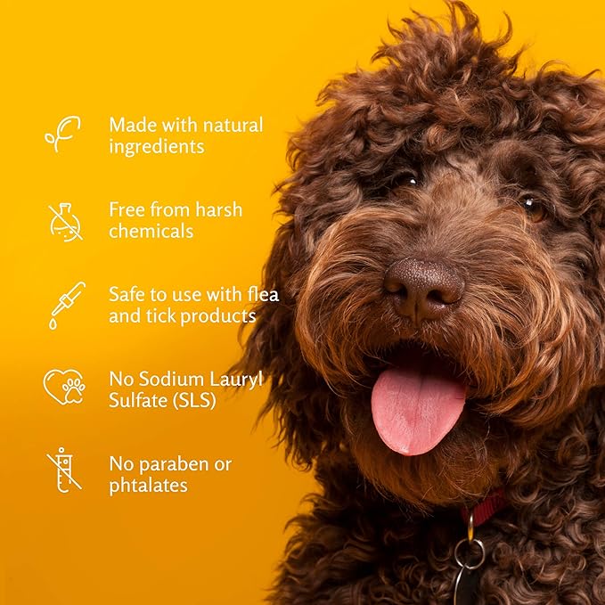 Arm & Hammer for Pets Aerosol Dry Shampoo for Dogs | Waterless Shampoo Spray for Dogs & Puppies | Citrus Blood Orange Scent, 5 Ounces - 6 Pack Dry Dog Shampoo Spray