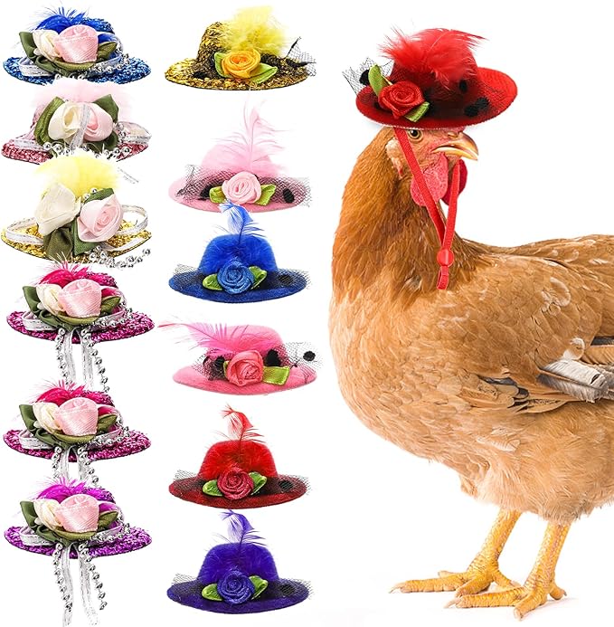 12 Pcs Chicken Hats for Hens, Mini Feather Top Chicken Helmet Halloween Accessories, Funny Small Hat Tiny Pet Hat, Chicken Show Costume for Rooster Duck Hamster Parrot Bird Poultry Snake