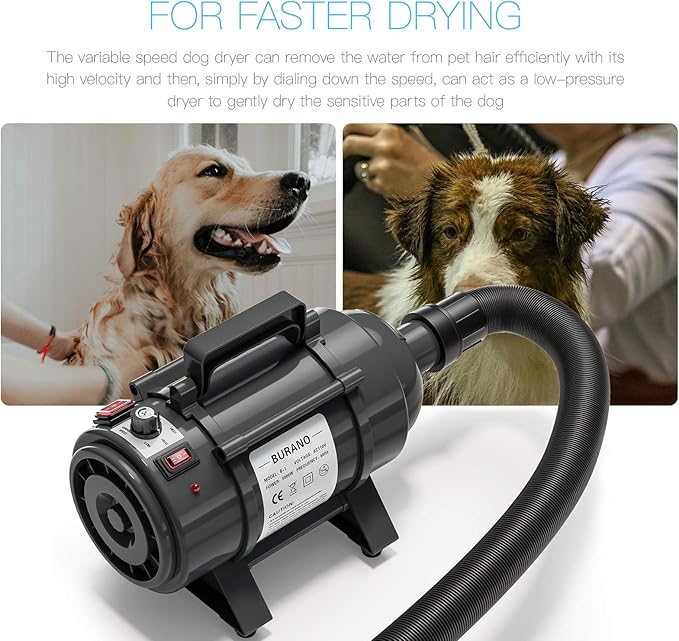 Dog Dryer, High Velocity Pet Hair Dryer, 4.3HP Stepless Adjustable Speed Dog Hair Force Dryer, Powerful Pet Blower with Heater