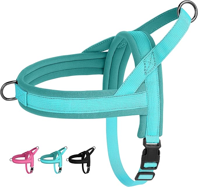 Beirui No Pull Dog Harness for Small Medium Dogs Puppies, Soft Neoprene Quick Fit Harness with Durable Front Clip & Back Clip, Lightweight Easy for Daily Walking (Blue,S)