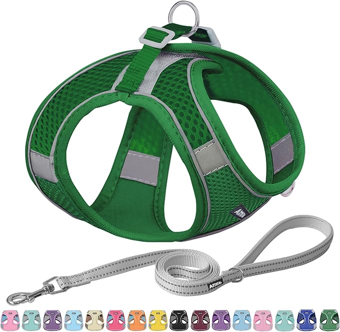 AIITLE Escape Proof Dog Harness - Step in Adjustable Dog Harness No Choke Over with Breathable Mesh and Quick-Release Buckle for Spring- Outdoor Walking, Camping, Training for Medium Dogs Green XL