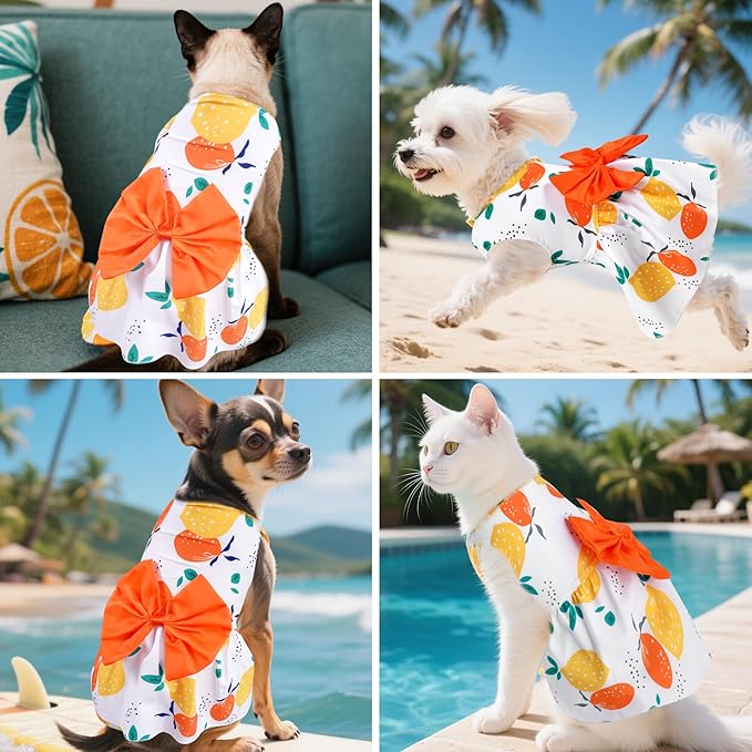 choyaxo Floral Dog Dress Cute Dog Skirt Pet Dress Summer Pet Clothes for Puppy Small Cats