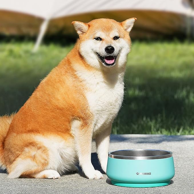 Pawaii Stainless Steel Dog Bowl with Non-Slip Rubber Base & Double Wall Insulation - Durable Design | Includes ID Tag | Dishwasher Safe Food & Water Bowl for All Dogs (34oz)