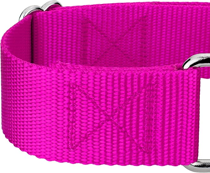 Country Brook Petz 1 1/2 Inch Martingale Heavy Duty Nylon Adjustable Dog Collar for Small, Medium, Large Breeds - Vibrant 17 Color Selection (Fuchsia, Extra Large)