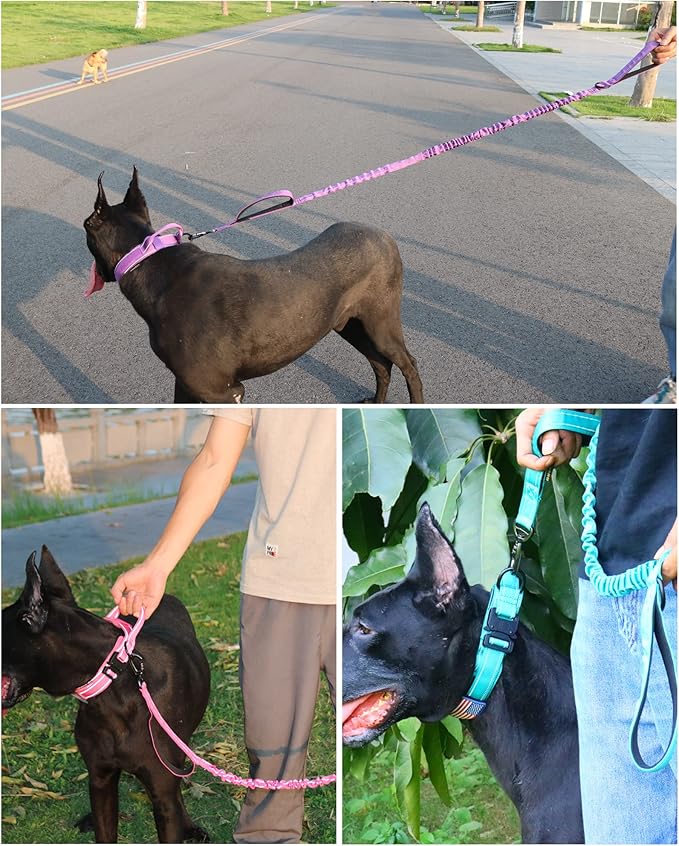 AUBELL Tactical Dog Collar and Leash Set, Adjustable Military Nylon Reflective Dog Leash and Collar with Handle and Heavy Metal Buckle for Medium Large Dogs, with Airtag Case and 2 Patches(Purple, L)