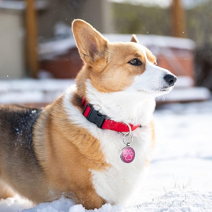 QR Code Dog Tag,Dog Tags Personalized for Pets, Custom Dog Name ID Tags Personalized Dog and Cat Tags -Free Online&Scan QR Receive Instant Location Alert Email