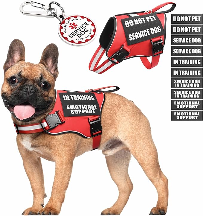 Service Dog Vest Harness+ID Tag+10 Patches,Metal Serivce Dog Tag&Reflective Emotional Support Dog Vest with Handle for Small Dogs,Easy Put On/Off for Training/Walking/Everyday Red S