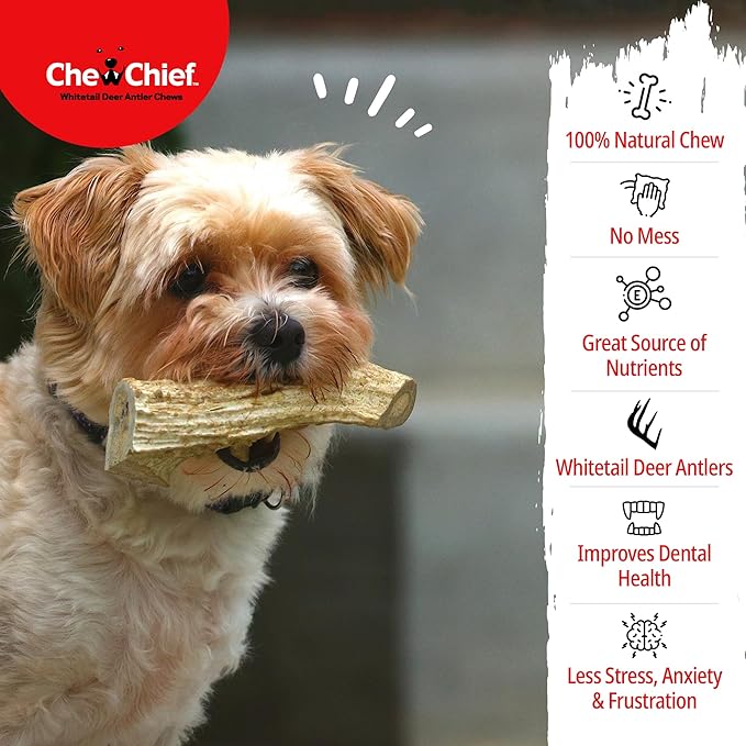 CHEW CHIEF Deer Antler Dogs Medium Breeds - Premium Quality Dog Antlers for Aggressive Chewers - Naturally Shed Dog Chew Antlers - Dog Antler Chews (6 Pack)