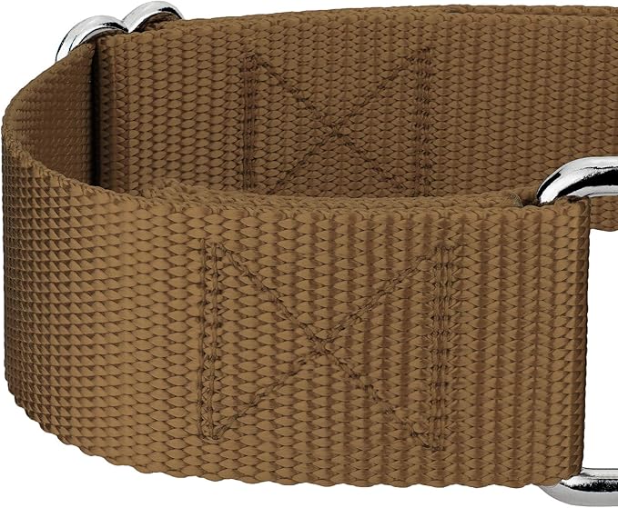 Country Brook Petz 1 1/2 Inch Martingale Heavy Duty Nylon Adjustable Dog Collar for Small, Medium, Large Breeds - Vibrant 17 Color Selection (Coyote Tan, Medium)