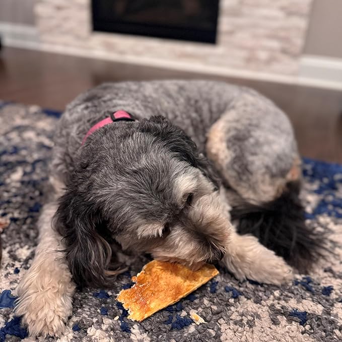 Fieldcrest Farms Nothin to Hide Flip Chips Dog Chews - Natural Rawhide Alternative Treats for Dogs, Collagen Based Snack for Moderate Chewers Up to 35lbs, Chicken Flavor - 2 Packs (16 Chips)