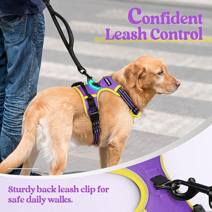 rabbitgoo Dog Harness, No-Pull Pet Harness with 2 Leash Clips, Adjustable Soft Padded Dog Vest, Reflective No-Choke Pet Oxford Vest with Easy Control Handle for Large Dogs, Purple & Yellow, M