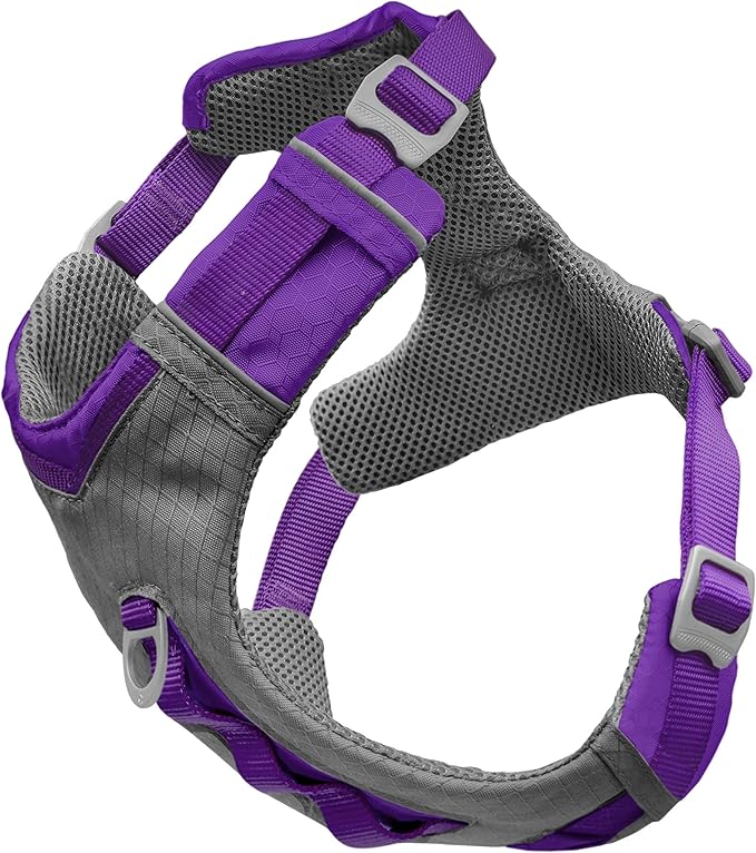Kurgo Journey Air Dog Harness, Vest Harnesses for Dogs, Pet Hiking Harness for Running & Walking, Reflective, Padded, Includes Control Handle, No Pull Front Clip (Purple, Large)