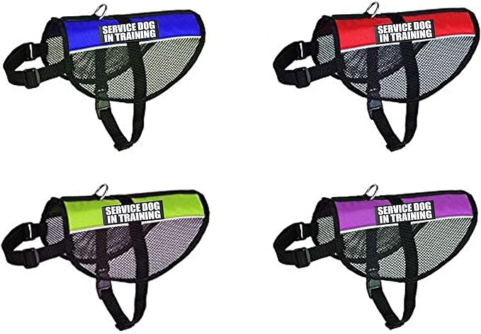 Service Dog in Training mesh Dog Vest Harness Cool Comfort. Purchase Comes with 2 Reflective Service Dog in Training pathces. Please Measure Your Dog Before Ordering