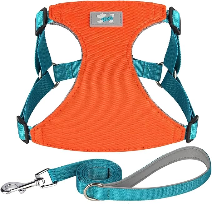 Beirui Small Dog Harness and Leash Set, No Pull Step-in Harness for Puppy, Lightweight Air Mesh Pet Harness for Small Dogs (Orange, XS)