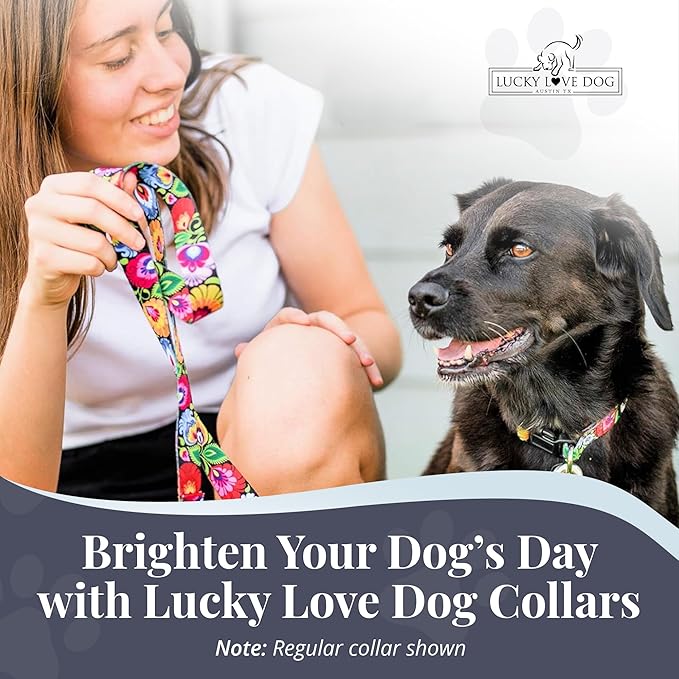 Lucky Love Dog Martingale Collar and Leash Set, Premium No Slip Collar and Leash Set, Floral Vivid Pattern Martingale Collar, Great for Whippets, Greyhounds, and More (Blackbird, Medium - Combo)