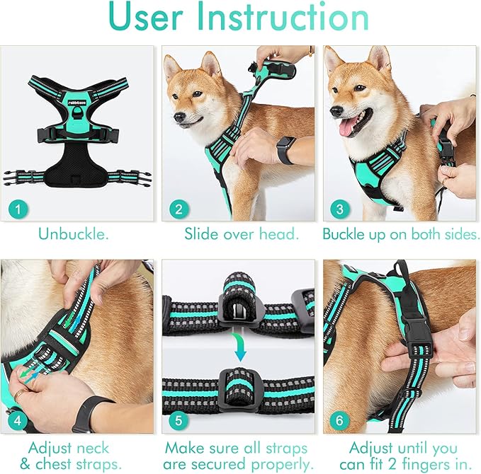 rabbitgoo Dog Harness, No-Pull Pet Harness with 2 Leash Clips, Adjustable Soft Padded Dog Vest, Reflective No-Choke Pet Oxford Vest with Easy Control Handle for Large Dogs, Turquoise, L