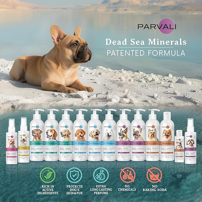 Natural Dead Sea Mud Bath Dog Shampoo (250 ml, 8.45 fl oz). A Purifying Anti-Itching Gentle Skin and Coat Care Formula. Minerals Rich, Long-Lasting Perfume, Easy Application. Enjoy!