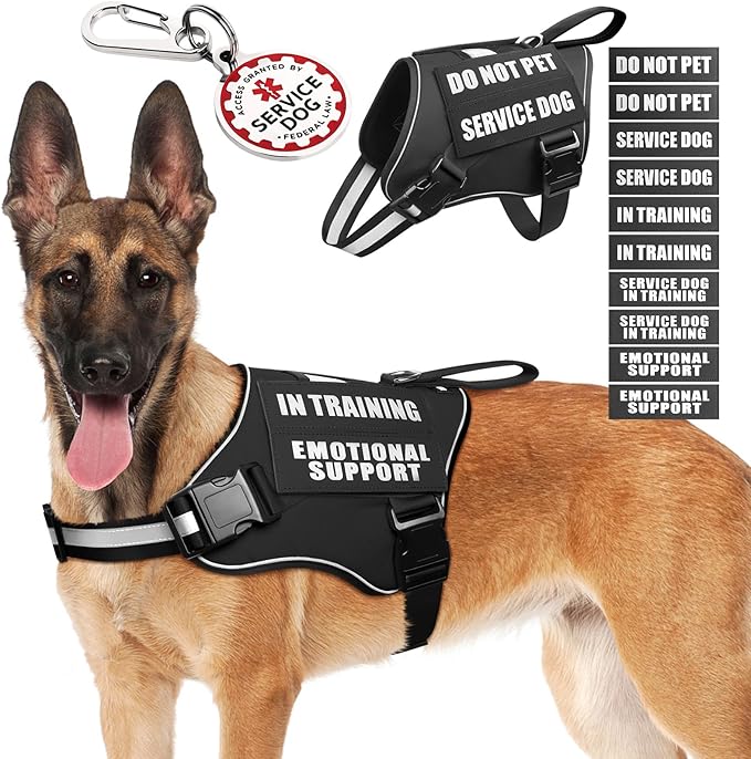 Service Dog Vest Harness+ID Tag+10 Patches,Metal Serivce Dog Tag&Reflective Emotional Support Dog Vest with Handle for Large Dogs,Easy Put On/Off for Training/Walking/Everyday Black L