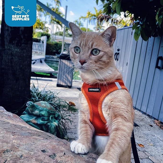 Voyager Step-in Air Dog Harness - All Weather Mesh, Reflective, No Pull Harness for Small, Medium Dogs, Cats - Secure with Hook & Loop Fastener, Buckle, Double D-Rings - Orange, XL