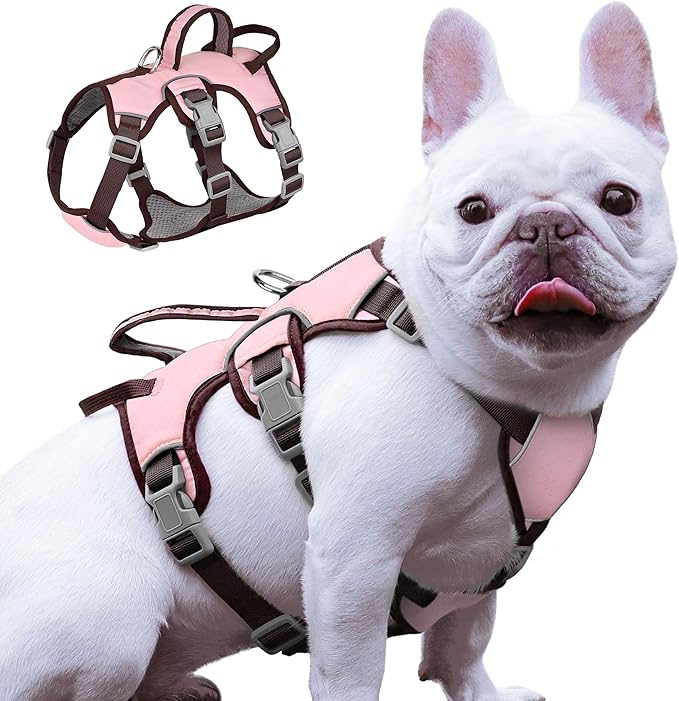 Forestpaw Escape Proof Dog Harness Small Medium Sized Dog,No Pull Dog Harness with Handle,Reflective Breathable Full Body Dog Vest Adjustable Puppy Harness for Walking(Pink&Brown,Chest 15-25")