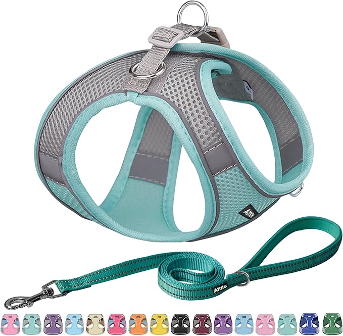 AIITLE Small Harness for Puppy with A Leash - Spring Dog Vest Harness with Super Breathable Mesh, Reflective No-Pull Pet Harness for Outdoor Walking, Camping for Small Dogs, Cats Turquoise XXS